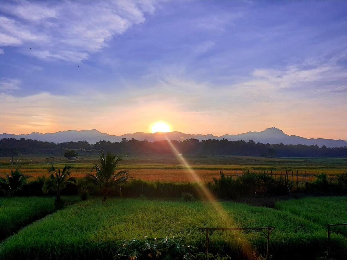 SuanGlangNa Homestay Phrae Luaran gambar
